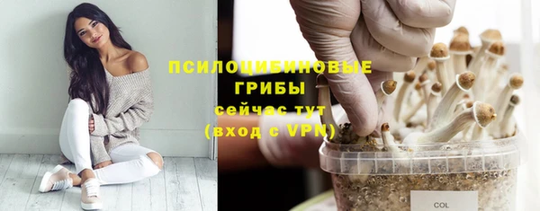 герыч Зерноград