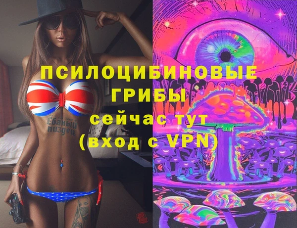 бошки Зеленокумск