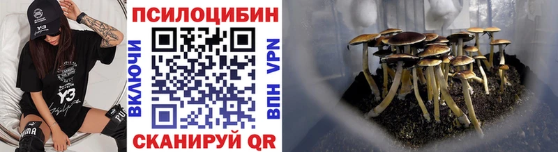Галлюциногенные грибы Magic Shrooms  купить закладку  Тотьма 